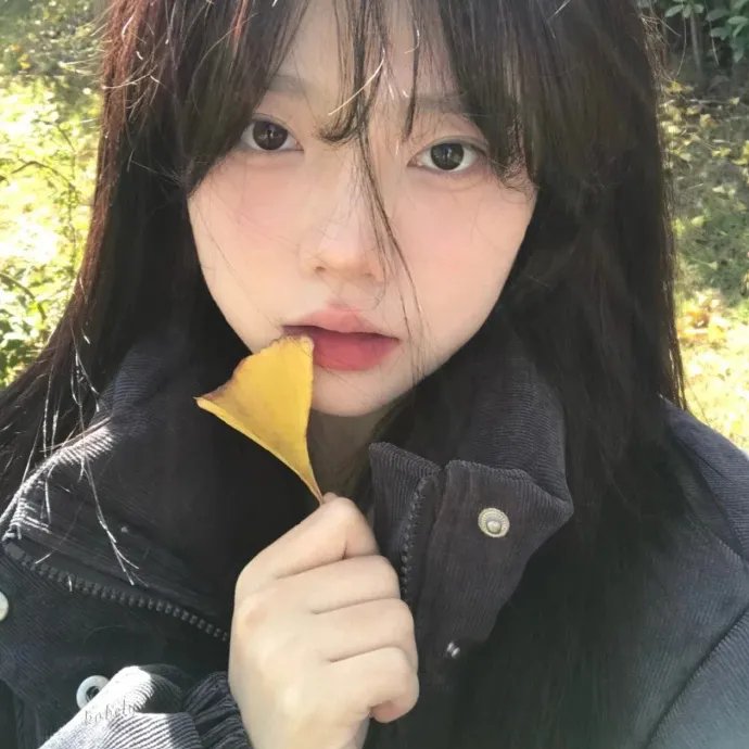 双食记封面